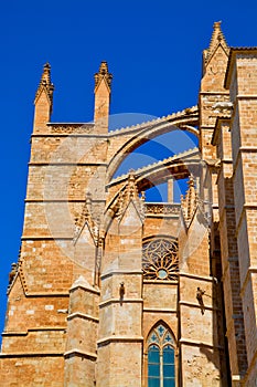 Mallorca cathedral