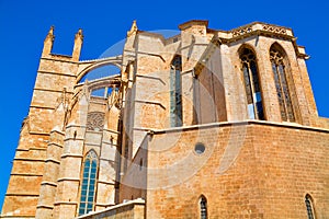 Mallorca cathedral