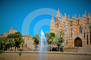 Mallorca cathedral