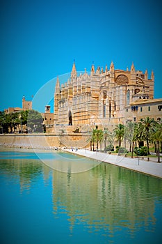 Mallorca cathedral