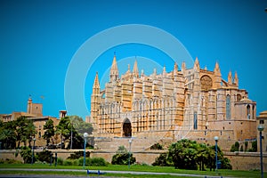 Mallorca cathedral