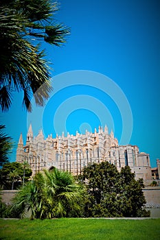 Mallorca cathedral