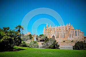 Mallorca cathedral