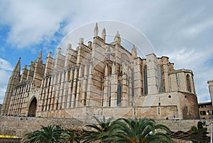 Mallorca cathedral