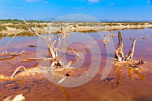 Mallorca Es Trenc Ses Salines saltworks in Balearic photo