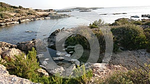 ExcursiÃÂ³n playa