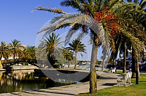 Mallorca(Majorca),Alcudia