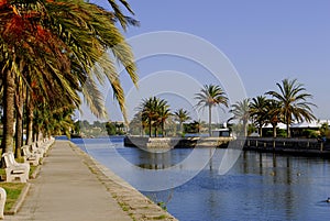 Mallorca(Majorca)Alcudia photo