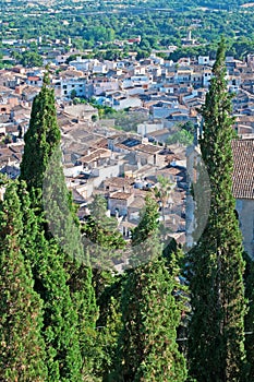 Mallorca, Majorca, Balearic Islands, Spain