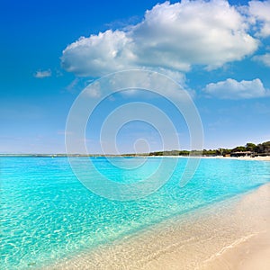 Mallorca Marques beach Es Trenc Estany Estanque photo