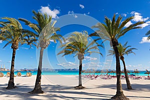 Mallorca Platja de Alcudia beach in Majorca