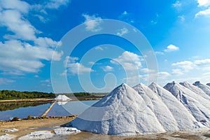 Mallorca Ses Salines Es Trenc Estrenc saltworks