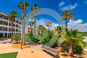 Park promenade with palm trees in Colonia de Sant Jordi, Majorca photo