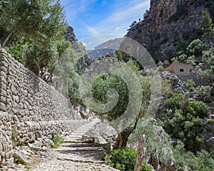 Mallorca, Spain - 12 June, 2023: The Barranc de Biniaraix and GR221 hiking trails in the Tramuntana Mountains, Mallorca photo