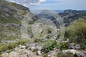 Mallorca, Spain - 12 June, 2023: Views along the GR221 trail through the Tramuntana Mountains, Mallorca photo