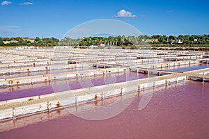 Mallorca, Spain - Nov 1 2023: Natural salt harvesting at the Salines des Trenc