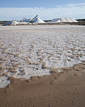Mallorca, Spain - Nov 1 2023: Natural salt harvesting at the Salines des Trenc