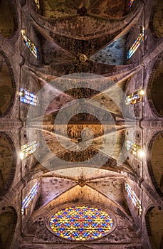 Mallorka, Catedral de Mallorca photo