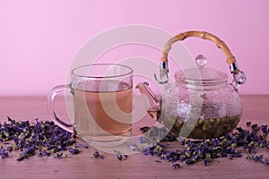 Mallow flowers brewed in a cup, herbal tea
