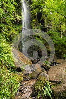 Mallyan Spout