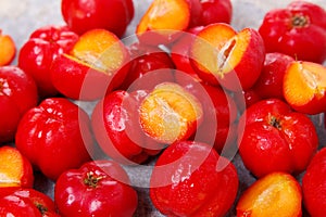 Malpighia glabra (red acerola), tropical fruit