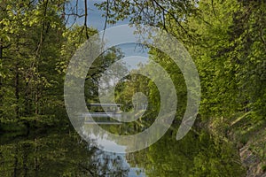 Malse river in spring morning in Budweis city