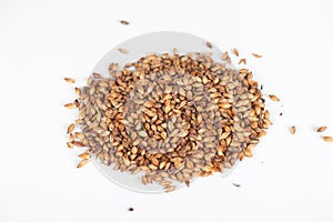 Malt grains