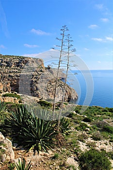 Malta - January 2023 - The Blue Grotto