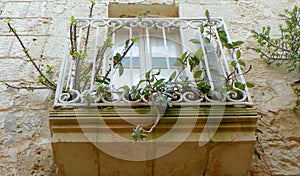 Malta, Mdina, fortifications of Mdina, balcony with flowers