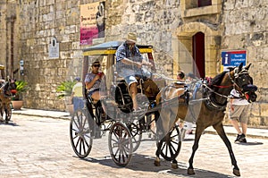 The medieval citadel of Mdina