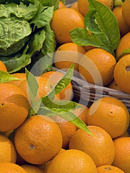 Malta Oranges