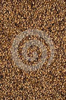 Malted grains