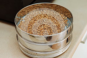 Malted grains in a sorting sieve on the table.