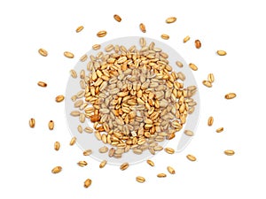 Malted Wheat Grain on a White Background