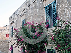 Maltese architecture in Mdina, old town