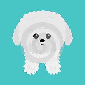 Maltese bichon frise white dog puppy icon. Cute cartoon funny pet baby animal character. Kawaii face icon. Love greeting card.
