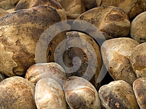 Pane 