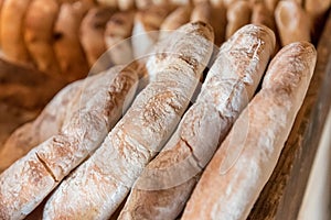 Maltese Bread photo