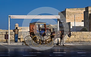 The Maltese chariot. The carriage waits. Malta.