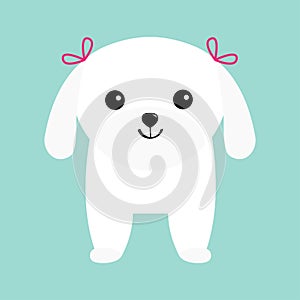 Maltese dog puppy White lapdog. Animal icon set. Cute cartoon character. Pet animal collection. Adopt concept. Flat design. Blue b