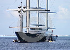 Maltese Falcon 2