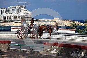 Maltese Karozzin carriage overlooking Fort Tigne, Malta
