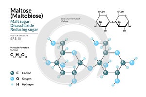 Maltose. Maltobiose or Malt Sugar. Disaccharide. Structural Chemical Formula and Molecule 3d Model. C12H22O11