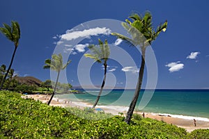 Maluaka Beach, south Maui, Hawaii, USA