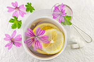 Malva sylvestris, mallow, tea with lemon and flowers