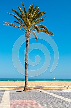 Malvarrosa beach, Valencia, Spain photo