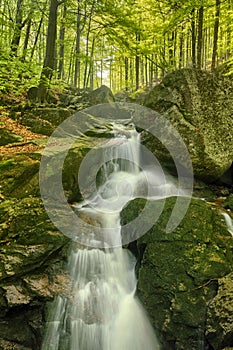 Maly Falls in super green forest surroundings, Czech Republic