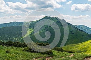 Maly Krivan hill from sedlo Bublen in Mala Fatra mountains in Slovakia