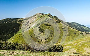 Maly Krivan hill in spring Mala Fatra mountains in Slovakia