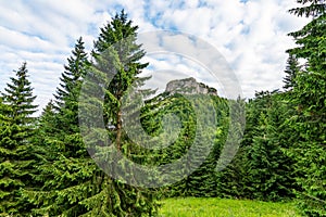 Maly Rozsutec mountain in the Mala Fatra Slovakia national park. Tourist destination for outdoor activities, hiking, trekking.